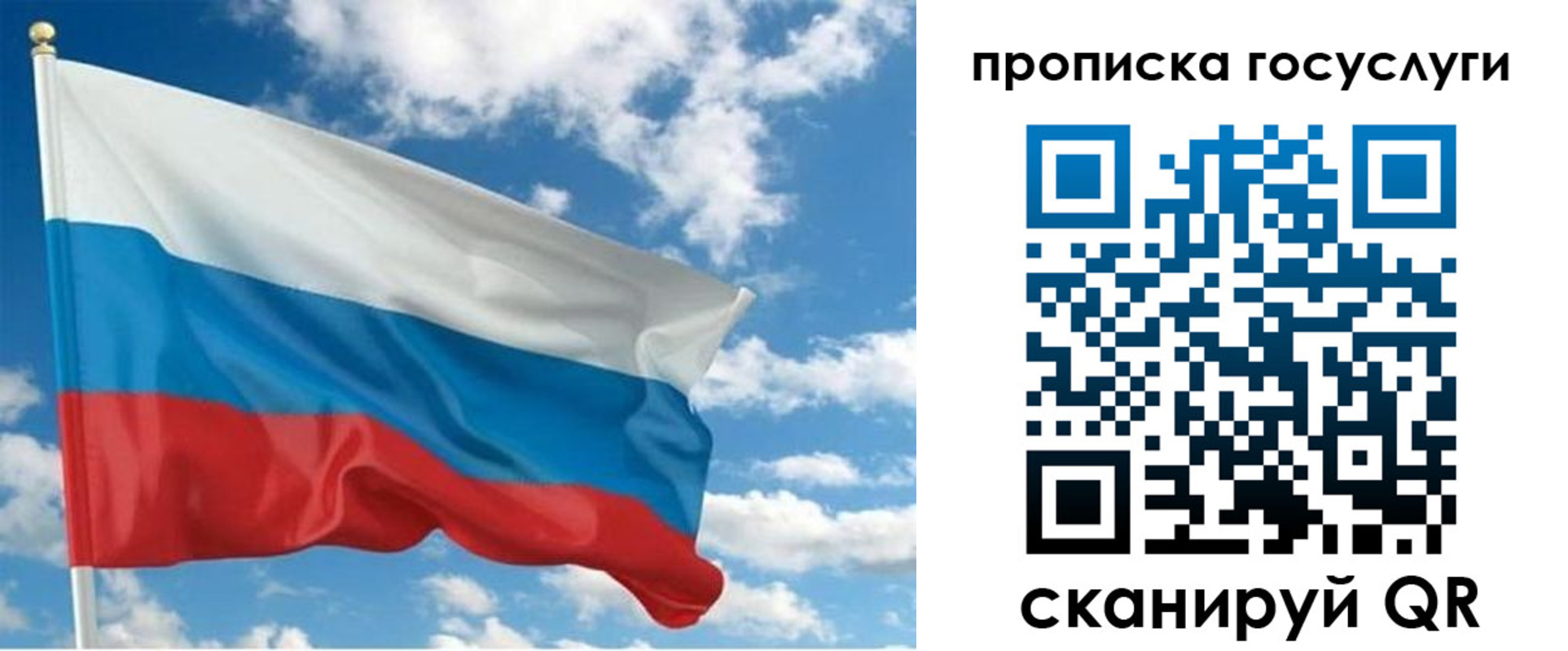 временная регистрация поиск в Оленегорске